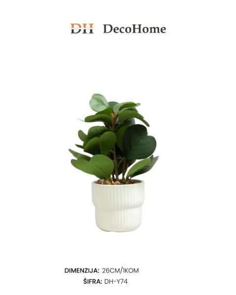 Slika Ukrasna biljka u saksiji 26cm mix boja / 1kom - DH-Y74